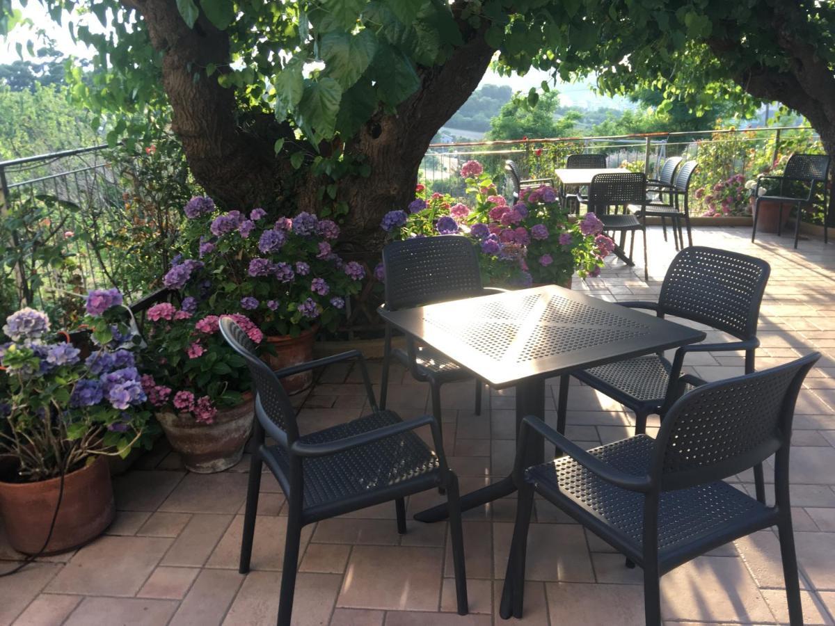 Bed and Breakfast La Casa Sul Golfo Ancona Exterior foto